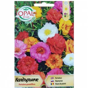 Калдаръмче