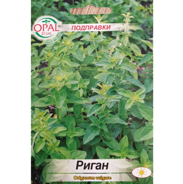 Риган