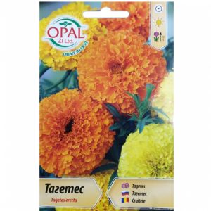 Тагетес - едър