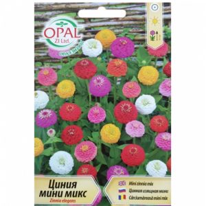 Циния мини микс