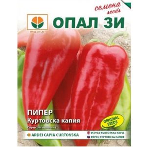 Пипер - Куртовска капия
