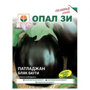 Патладжан - Блек бюти