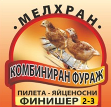 пилефинишер